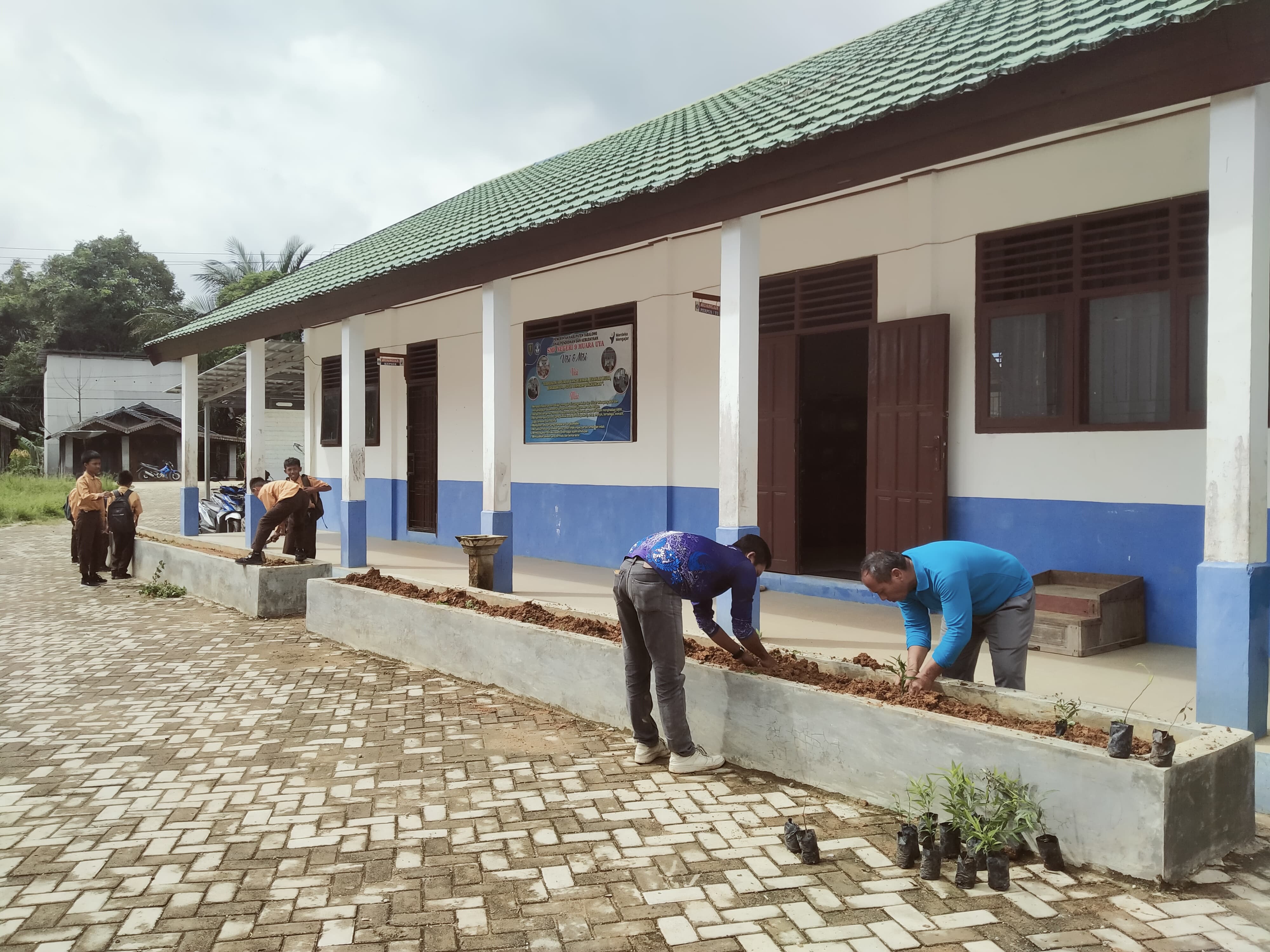 SMPN 9 Muara Uya Tanamkan Nilai Bermasyarakat Melalui Kegiatan Penanaman Tanaman di Sekolah